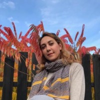 Monireh Seyed Tafreshiha