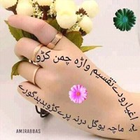 Abdulwahed Afghan