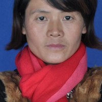 张晓平