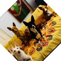 Joaquim Rusiñol Mirapeix