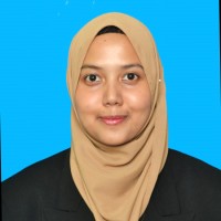 Nur Ilina Shaari