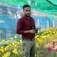 Robiul Awal