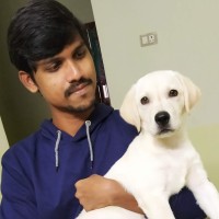 Pavan Repalle