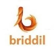 Briddil Software