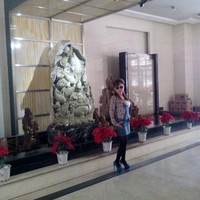 杨敬茹