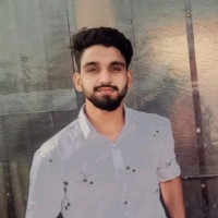 Anas Mirza