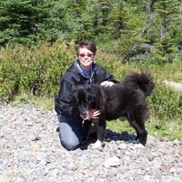 Traci Patnode