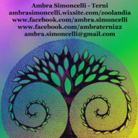 Ambra Simoncelli