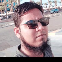 Mohammad Hamza Ansari