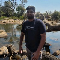 Nabeel N
