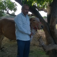 Mites Dudhatra