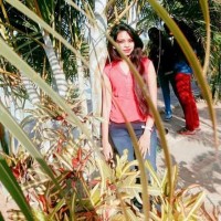 Ambika V