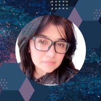 Sahar Saleem (Guest Posting And Content Writing)