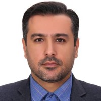Hamed Rahmani