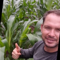 Rodolfo Cerdas Cerdas