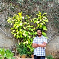 V Nikhil Tej