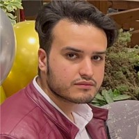 Amir Hossein H.