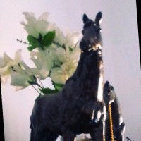 Nyesigamukama Cosmas