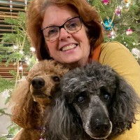 Karen L. McCloud