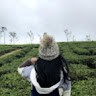 Phuoc, Chau Hong