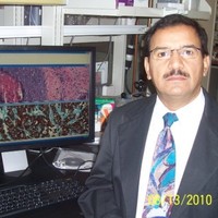 Ahmed Chenna, Ph.D