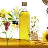 Edible Oils