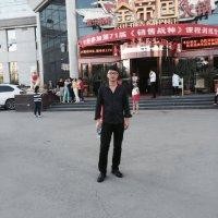 赵宏振