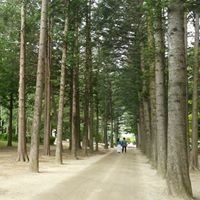 Liem Hadoan