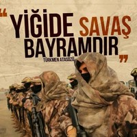 tayfun güllü