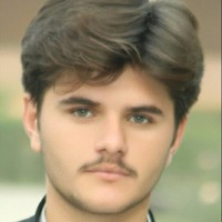 Idrees Gul