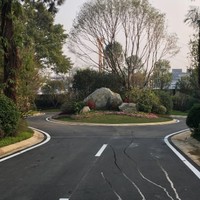 陈洪标