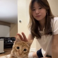 EMERY AHN