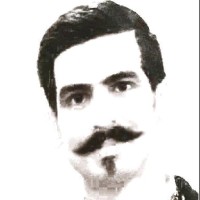 Hamed Shamlou