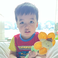 Sau Yi Carol Lee