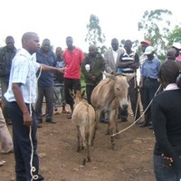 James Kithuka