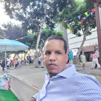 Mohamed Mahmoud El Yedaly