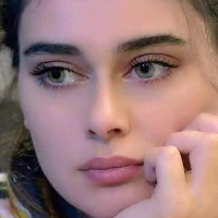 Nidal Msri