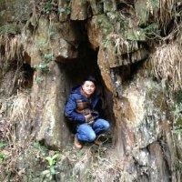 黄国柱