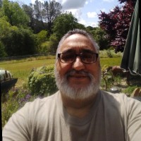 Kevin Fattal