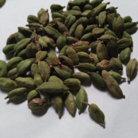 Egexca brand (wbt) Guatemala