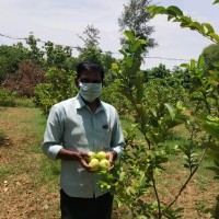 Santhosh Santhosh