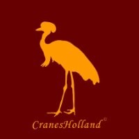 N de Jong