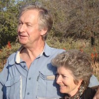 Mike Ward