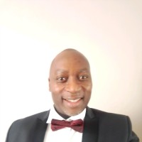 Andrew Eseigbe Igberaese, D, Eng, M SC, MIEEE, FCP, FIMC, CMC