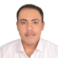 Mohamed Saeid