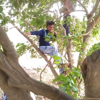 Pandurang Bhagat