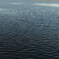 杨保洋