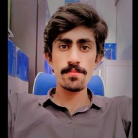 Behzad Hassan Awan