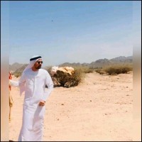 Abu M