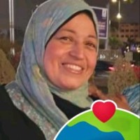 نسمات الصباح أحمد عبد المجيد